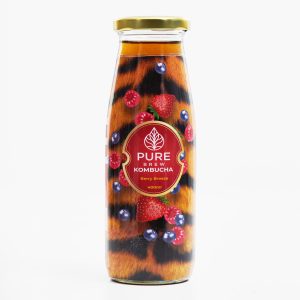 Kombucha Pack of 6