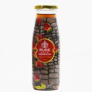 Kombucha Pack of 4