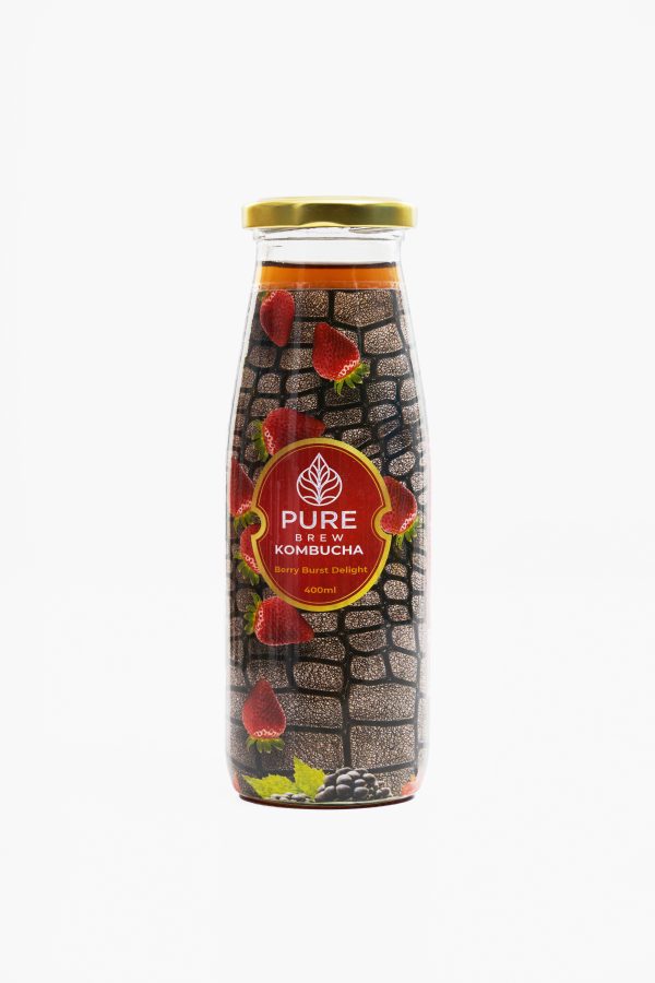Kombucha Pack of 4